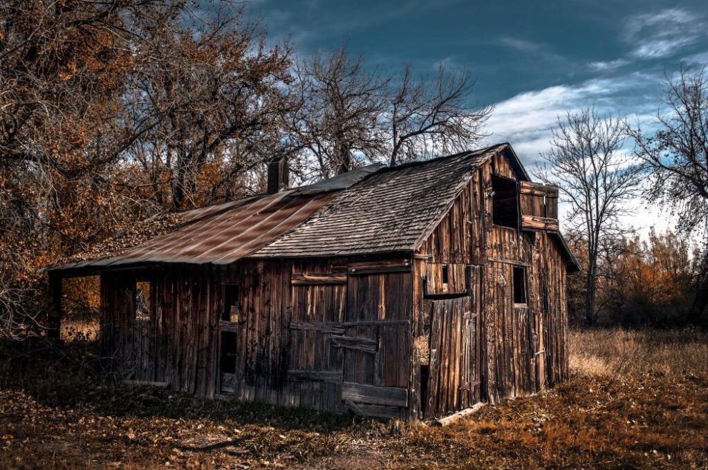 A ruined cabin on the edge of a forest